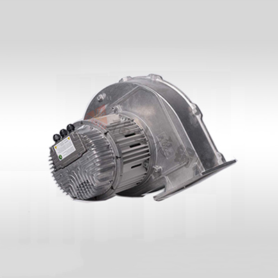 ����ֱ����Ƶ���